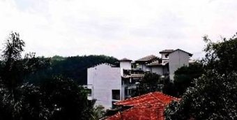 Hotel Forest Villa