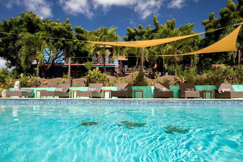 Hotel True Blue Bay Resort