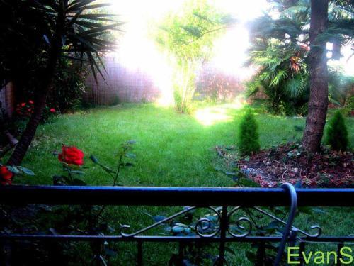 Hostal Evans Studio