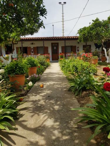 Apartamento Asimina's House
