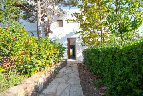 Andrew's House Punta Zeza