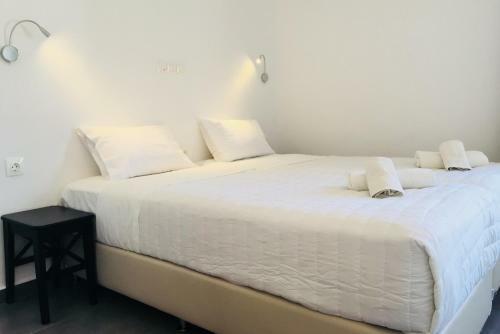 Hotel Kamelia