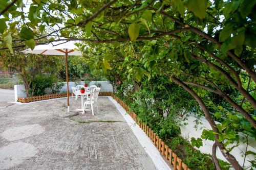 Hostal Orelia Pension