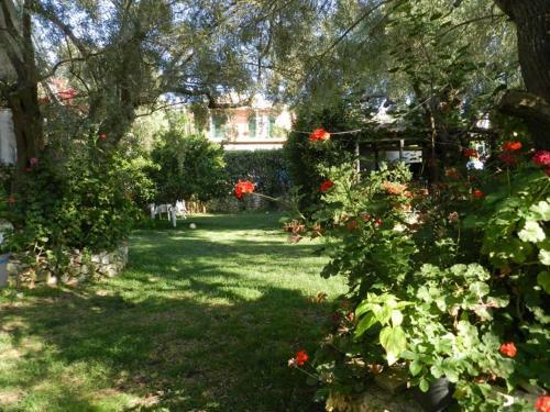 Apartamento Ntinas House