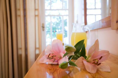 Pansion Filoxenia Apartments & Studios