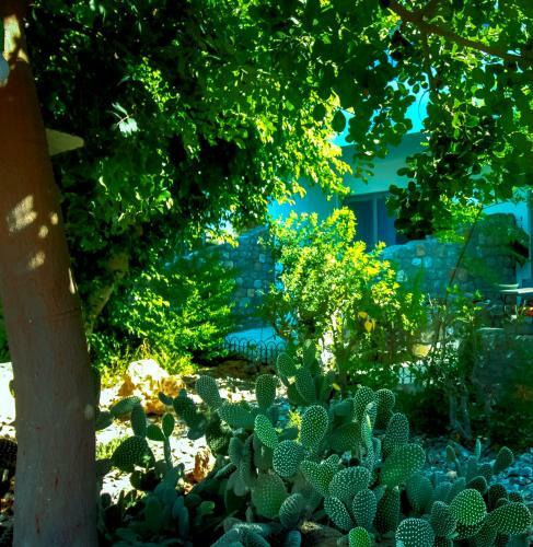 Apartamento Pefkos Eye