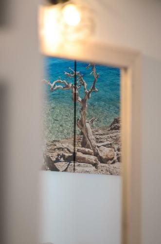 Aphrodite Luxury Apartments