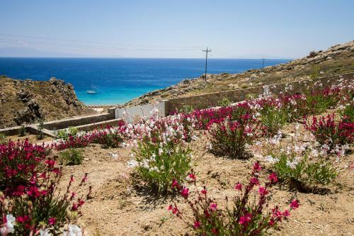 Villa Anarina Retreat Mykonos