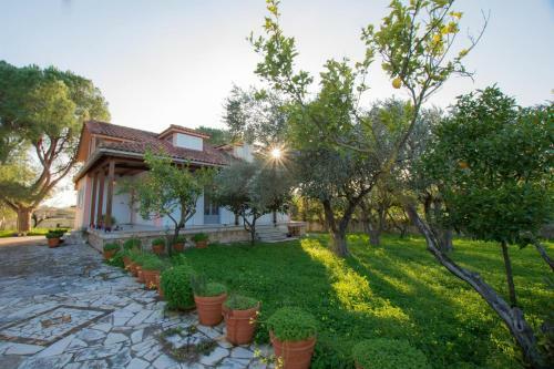 Ilenia's House