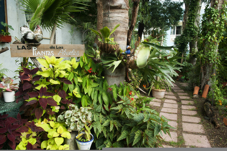 Adjovimar Apartamentos