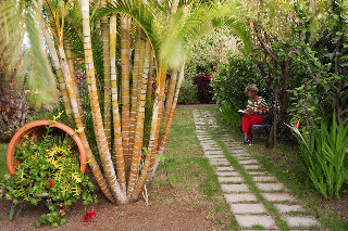 Adjovimar Apartamentos