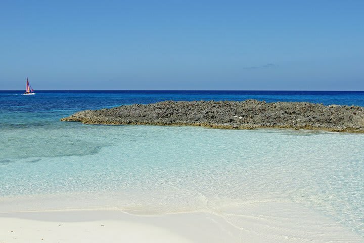 Hotel Melia Buenavista