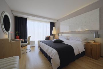 Hotel Radisson Sas (standard)