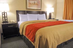 Hotel Comfort Inn & Suites North