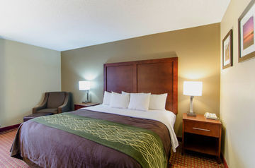 Hotel Comfort Inn Apex