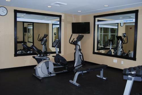 Holiday Inn Express Hotel & Suites Auburn Hills