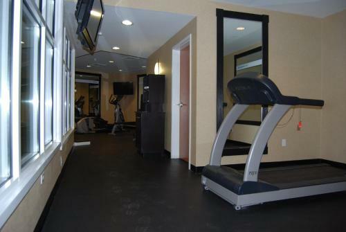 Holiday Inn Express Hotel & Suites Auburn Hills
