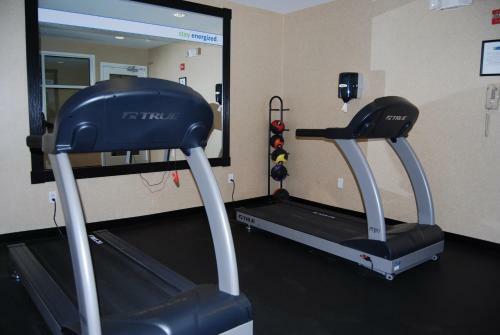 Holiday Inn Express Hotel & Suites Auburn Hills