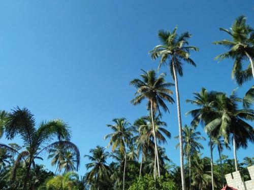 Villa Coco Cabana Bentota