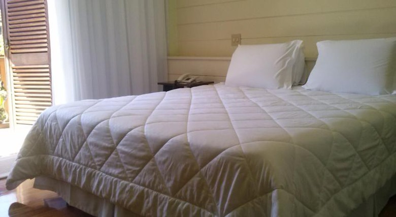 Hotel Alpina