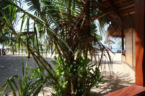 Hotel Shiva's Beach Cabanas