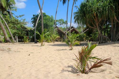 Hotel Shiva's Beach Cabanas
