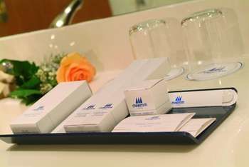 Hotel Maritim Ulm