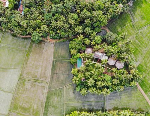 Hotel Rice Rice Villas