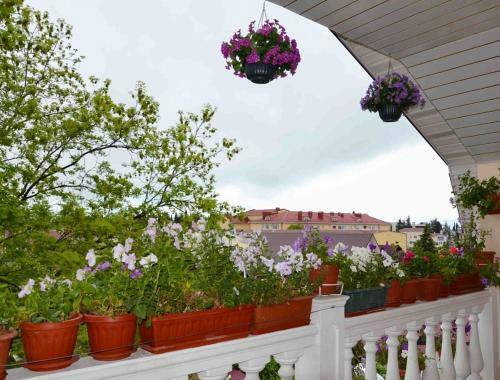 Hostal Guest House Tsvetochnaya Polyana