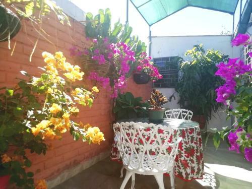 Beautiful & Spacious Terrace Room W/a Garden