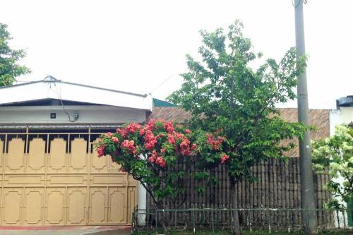 Beautiful & Spacious Terrace Room W/a Garden