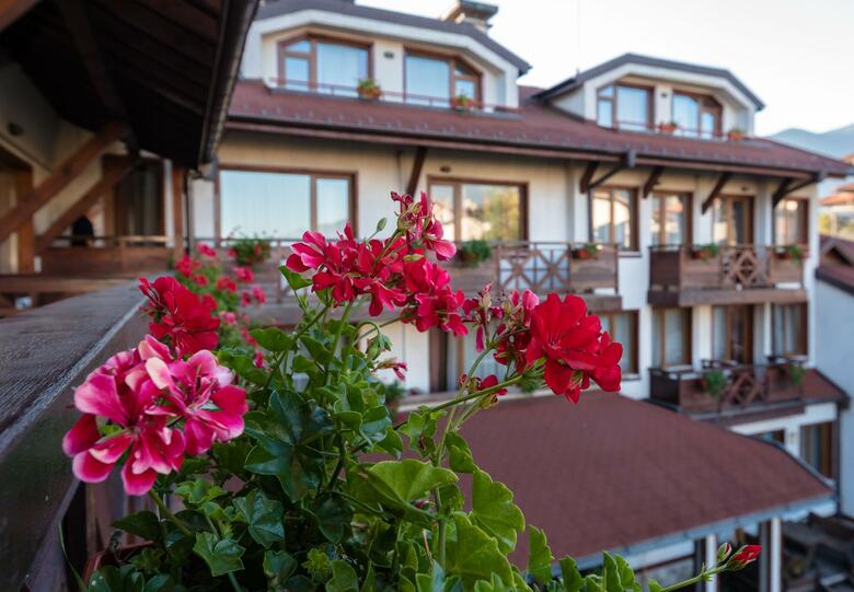 Hotel Evelina Palace
