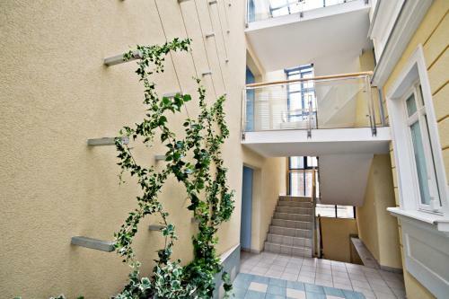 Apartamento Willa Halina