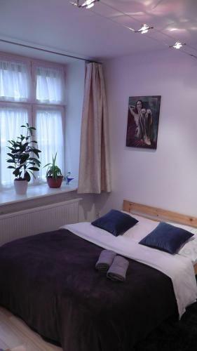 Apartament Piernikowy Na Starym Mie?cie