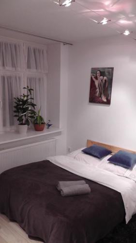 Apartament Piernikowy Na Starym Mie?cie
