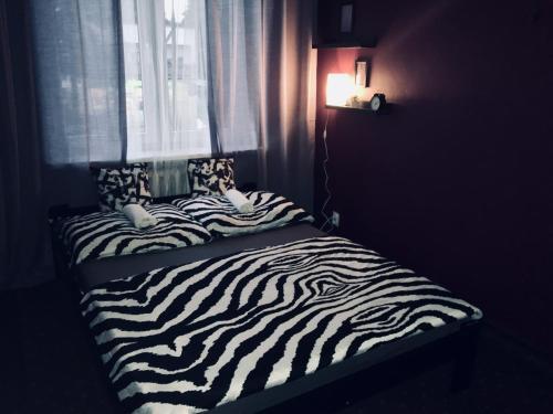 Team Hostel