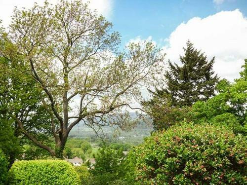 Treetops, Abergavenny