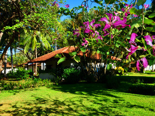 Hotel Villas Playa Samara