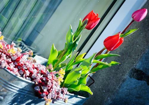 Apartamento Bryn Siriol