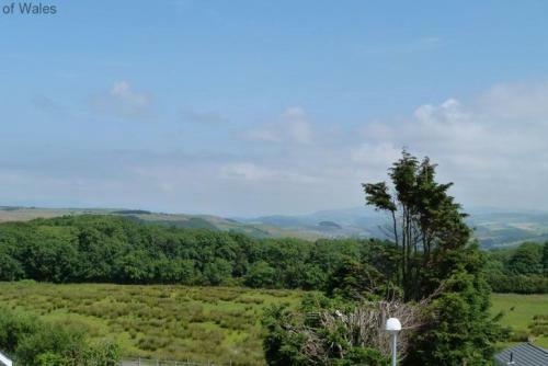 Bryn Olwg