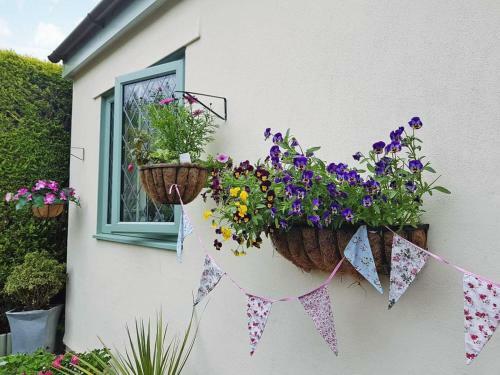 Cosy Cottage