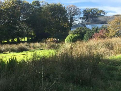 Hostal The Cherrybrook