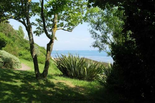 Driftwood B&B Weymouth