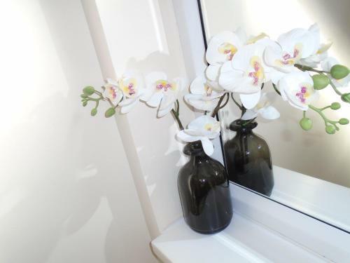 Bed & Breakfast Abbey Holiday Accommodation