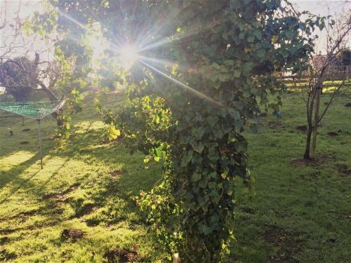Orchard Cottage, Watchet