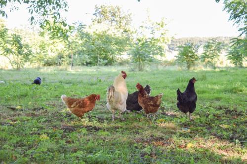 Agroturismo Red Lodge Country House