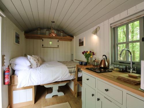 Rock View Shepherd's Hut, Tavistock