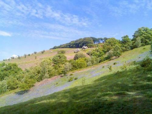 Squirrel Lodge, Skipton