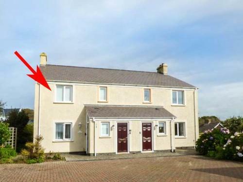 Kittiwake, Haverfordwest