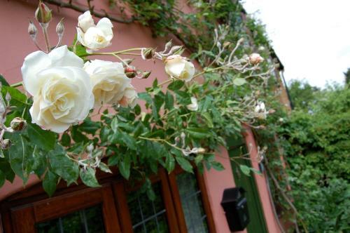 Rose & Apple Tree Cottages